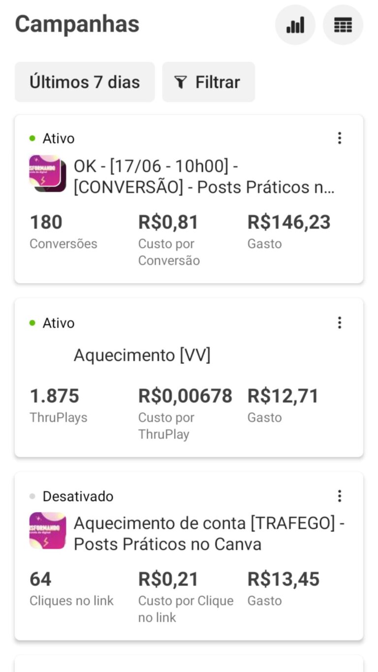 Print Campanha de Anúncios - Tráfego Pago 3